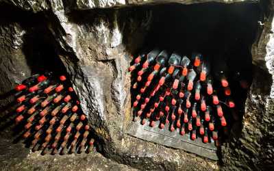 Wycieczka jednodniowa, Szlakiem Cypryjskich Winnic - Sterna Winiarnia