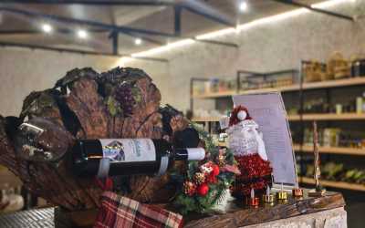 Wycieczka jednodniowa, Szlakiem Cypryjskich Winnic - Sterna Winiarnia