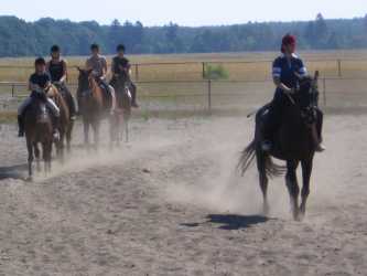 Obóz młodzieżowy, Niezapomniana Nadmorska Przygoda - OBÓZ KONNY (11-18 lat). Profesjonalne szkolenie dla początkujących, średnio zaawansowanych, zaawansowanych, obóz sportowo-szkoleniowy
