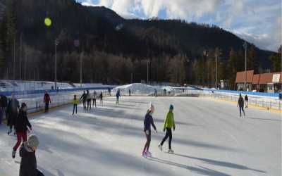 Wycieczka fakultatywna, Wyjście na lodowisko